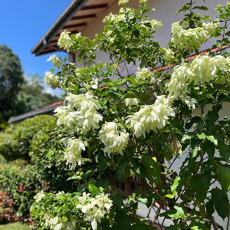 Garden Haven Hikkaduwa Villa Luaran gambar