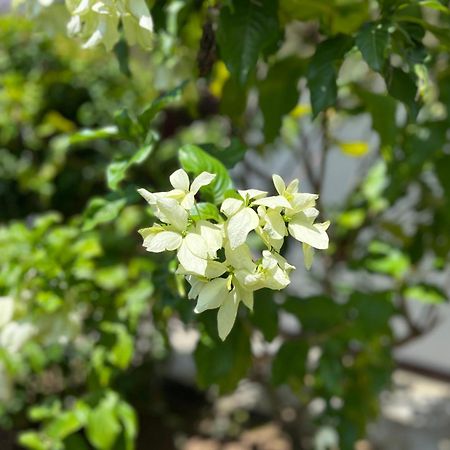Garden Haven Hikkaduwa Villa Luaran gambar